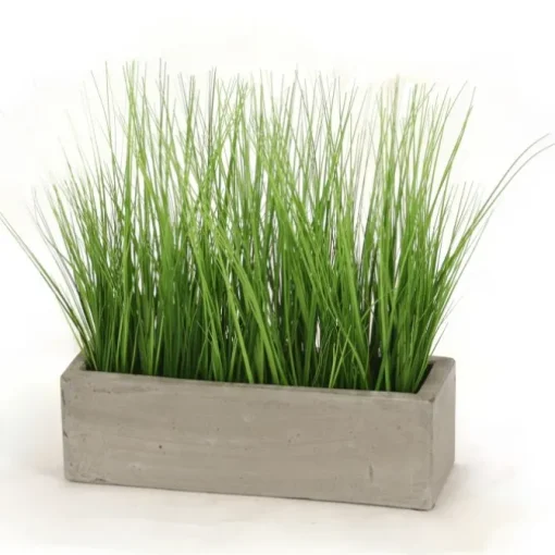 Grass in Concrete Window Box