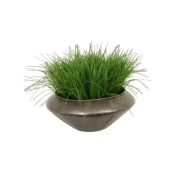 Grass in Round Metal Planter