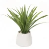Grass in White Planter