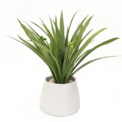 Grass in White Planter