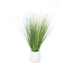 Grass in White Ribbed Vase