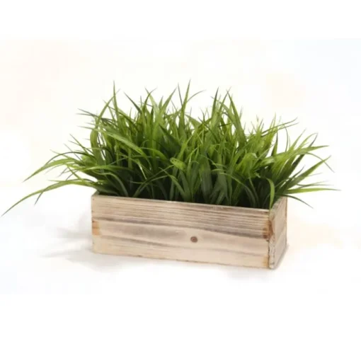 Grass in White Washed Box