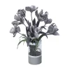 Gray Iris in Gray Banned Cylinder