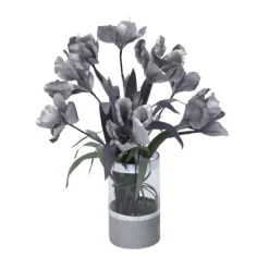 Gray Iris in Gray Banned Cylinder