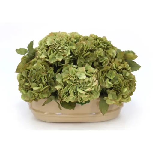 Green & Green Brown Hydrangeas in Ceramic Oval Planter
