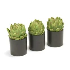 Green Artichokes in Black Circle Pot (Set of 3)