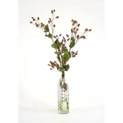 Green Brown Hypericum Berries in Anise Bottle (Packed 1)