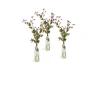 Green Brown Hypericum Berries in Anise Bottle (Set of 3)