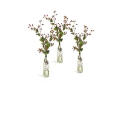 Green Brown Hypericum Berries in Anise Bottle (Set of 3)
