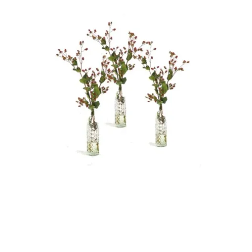 Green Brown Hypericum Berries in Anise Bottle (Set of 3)