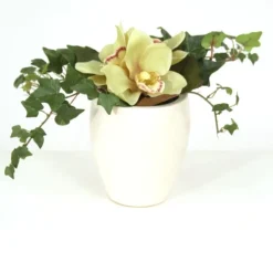 Green Cymbidium Orchid Bouquet in White Ceramic Vase