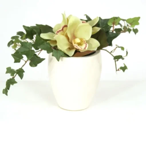 Green Cymbidium Orchid Bouquet in White Ceramic Vase