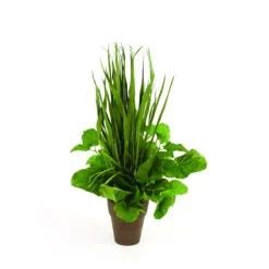 Green Foliage, Blade and Grass Mix in Weathered Clay Pot