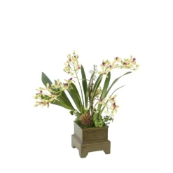 Green Orchids in Antique Green Planter