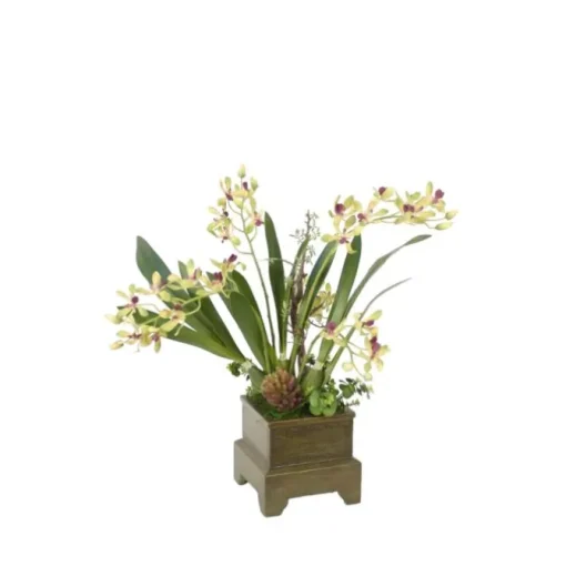 Green Orchids in Antique Green Planter