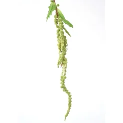 Hanging Amaranthus Spray (33.5