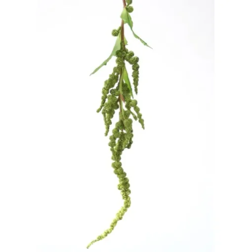 Hanging Amaranthus Spray in Sage Green  (Sold in Multiples of 12)