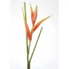 Heliconia Pick, 24