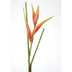 Heliconia Pick, 24