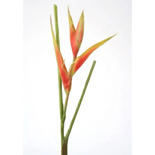 Heliconia Pick, 24