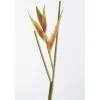 Heliconia Pick, 24
