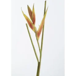Heliconia Pick, 24