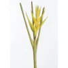Heliconia Stem 27