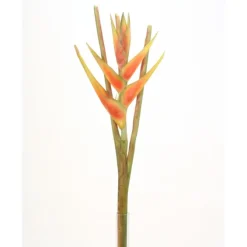 43.5"Heliconia Stem Dark Orange  (Sold in Multiples of 4)