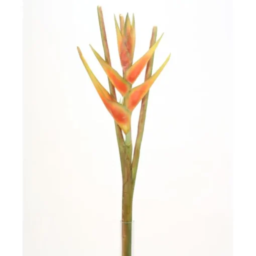 43.5"Heliconia Stem Dark Orange  (Sold in Multiples of 4)