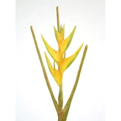 Heliconia Stem in Yellow (Sold in Multiples of 6)