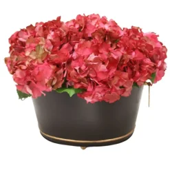 Hot Pink Hydrangea in Black Oval Planter with Gold Trim