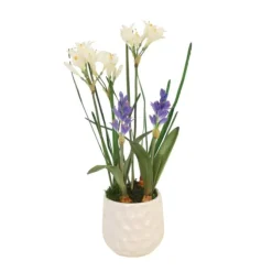 Hyacinths and Nerine Lily in White Planter