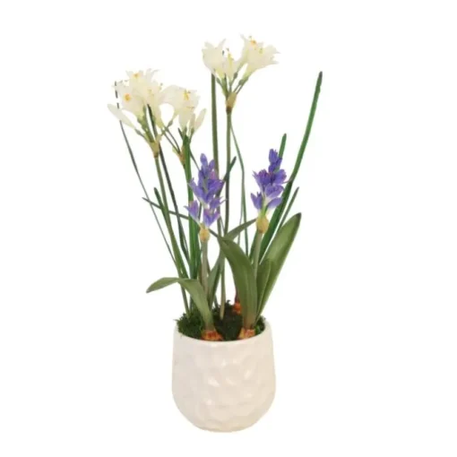 Hyacinths and Nerine Lily in White Planter