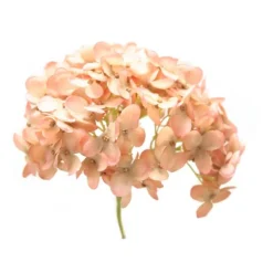 Hydrangea Head with Wire