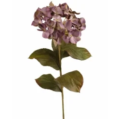 Hydrangea in Periwinkle Blue