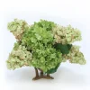Hydrangea Mix in Glass Bowl with Tusk Base