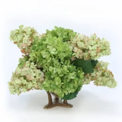 Hydrangea Mix in Glass Bowl with Tusk Base