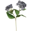 Hydrangea with Leaves in Gray Blue