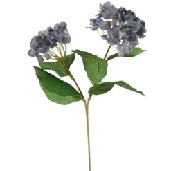 Hydrangea with Leaves in Gray Blue