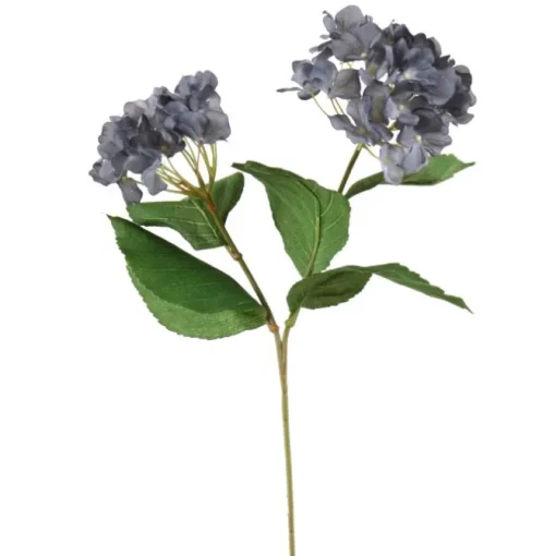 Hydrangea with Leaves in Gray Blue
