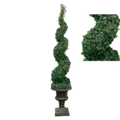 Irish Ivy Sprial Topiary in Urn