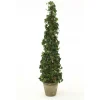 Ivy Topiary in Aged Stone Planter