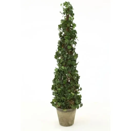Ivy Topiary in Aged Stone Planter