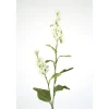 Japanese Lilac Spray in Candlelight  (Sold in Multiples of 12)
