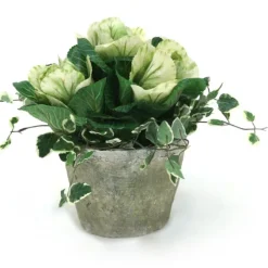 Kale in Flower Pot