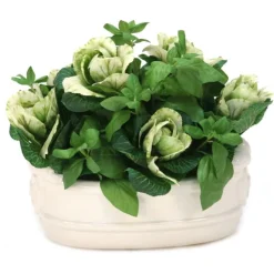 Kale with Basil in White Oval Planter