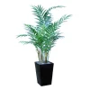 Kentia Palm in Metal Planter
