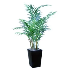 Kentia Palm in Metal Planter