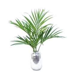Kentia Palm in Silver Hobnail Vase