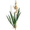 Large Oncidium Stem with Plant in Gold Green (Sold in Multiples of 4)